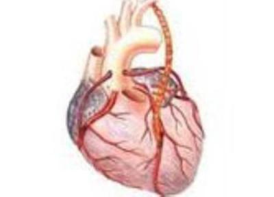 آنژین (درد سینه ناشى از تنگى رگ هاى تغذیه کننده ى قلب) آنژین (درد سینه ناشى از تنگى رگ هاى تغذیه کننده ى قلب)